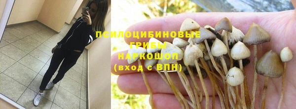 крисы Богородск