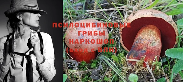 крисы Богородск