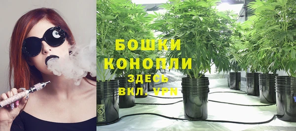 амфетамин Богданович
