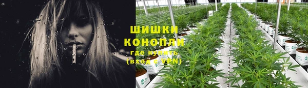 крисы Богородск
