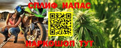 ГАЛЛЮЦИНОГЕННЫЕ ГРИБЫ Славгород