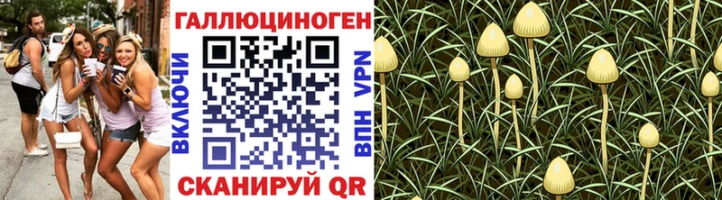 Галлюциногенные грибы ЛСД  Улан-Удэ 