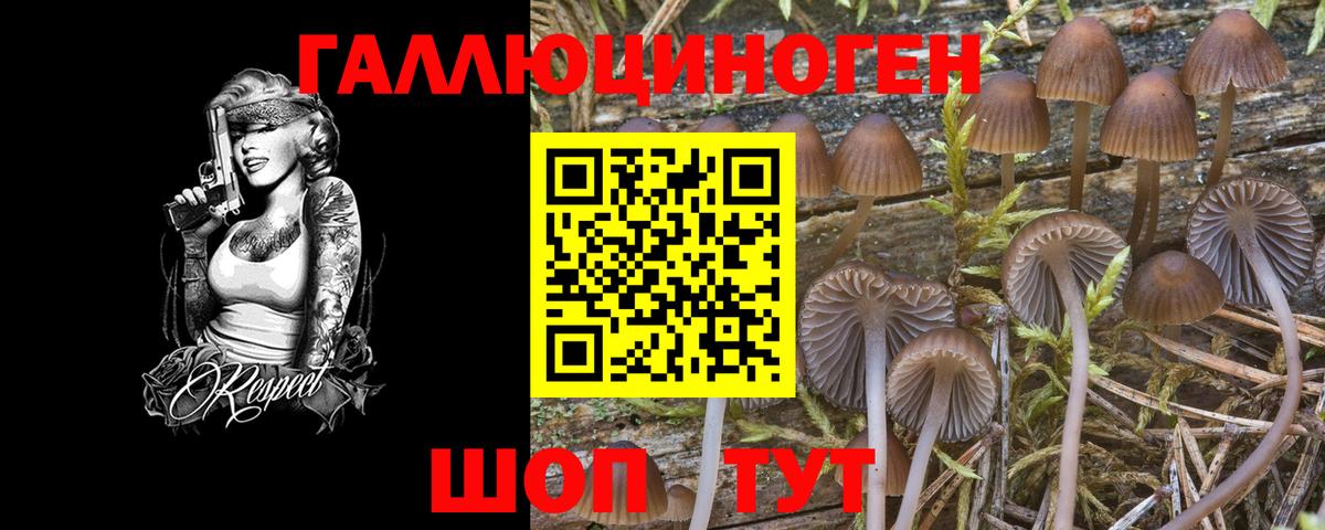 Улан-Удэ  Псилоцибиновые грибы прущие грибы  Галлюциногенные грибы мицелий  Вход с VPN 