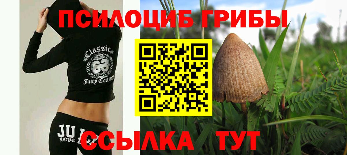 Галлюциногенные грибы Psilocybe Улан-Удэ